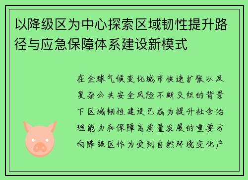 以降级区为中心探索区域韧性提升路径与应急保障体系建设新模式 以降级区为中心探索区域韧性提升路径与应急保障体系建设新模式